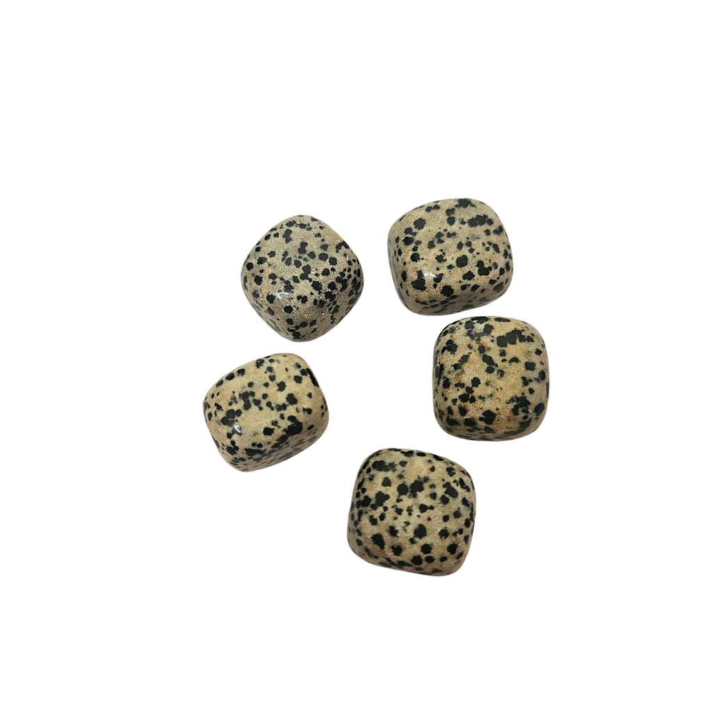 Dalmatian Jasper Tumble Stones