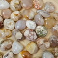 Flower Agate Tumble Stones