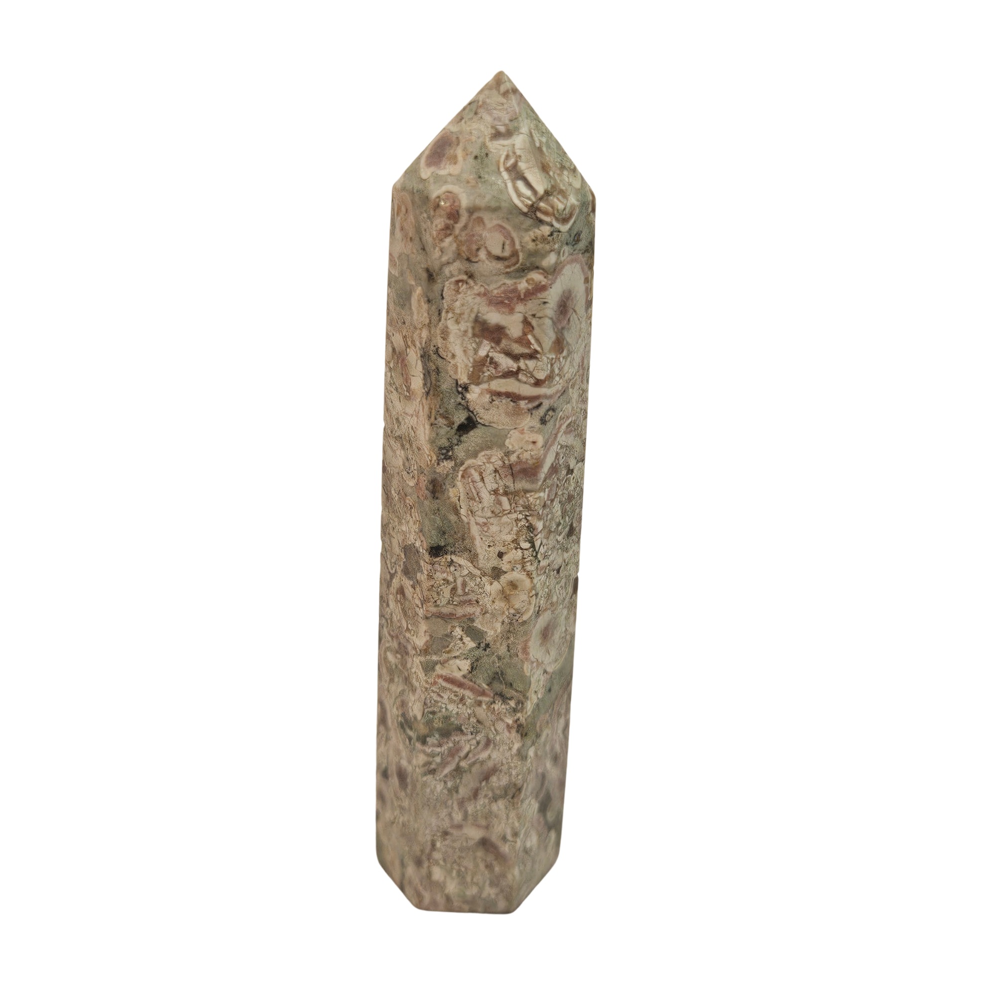 Fossil Jasper Tower (Agatized Coral)