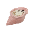 Shell Themed Scented Candle - Salt & Stone