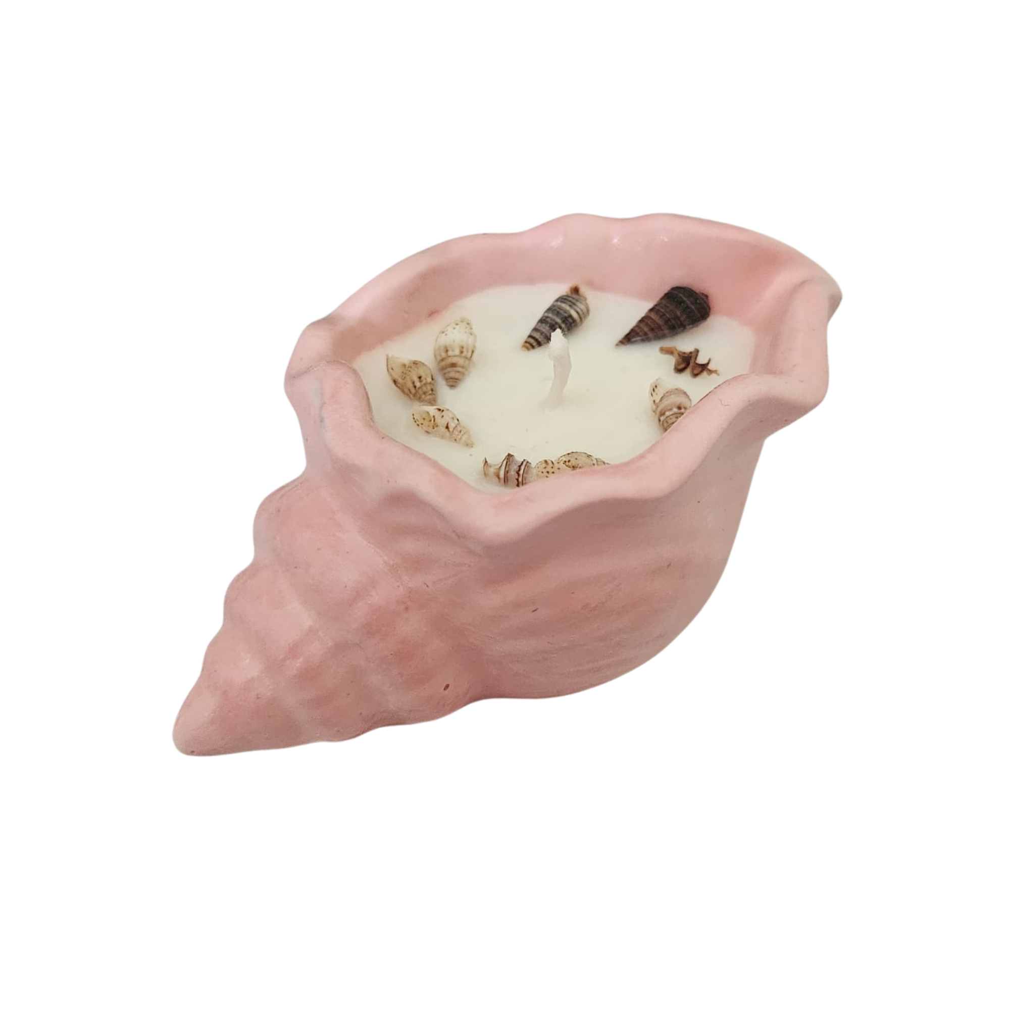 Shell Themed Scented Candle - Salt & Stone